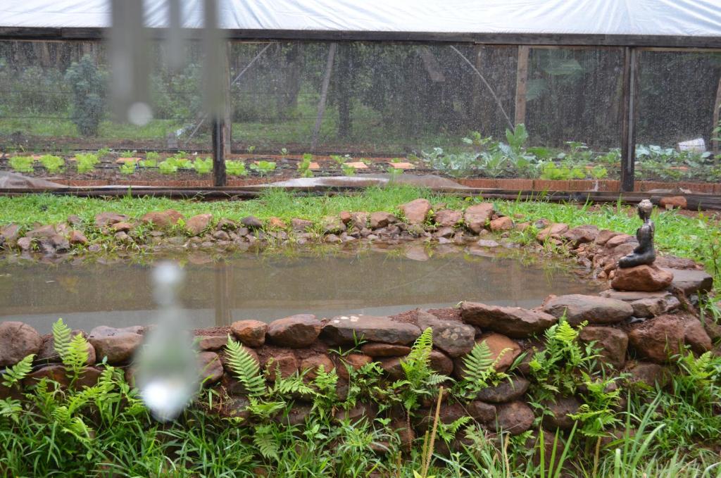  Hospedagem Natureza