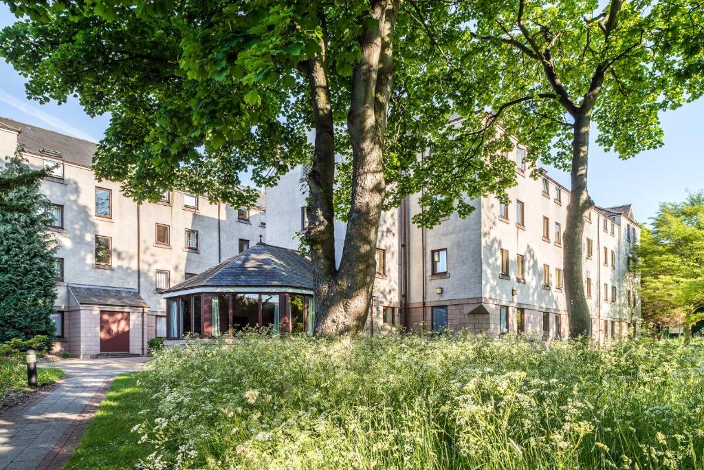 The Scholar - Resim 4