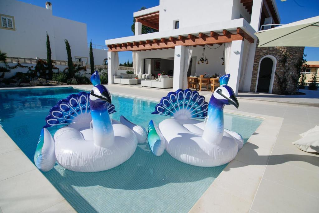 two swans in a swimming pool next to a house at Sa plana de Baix in Sant Josep de Sa Talaia