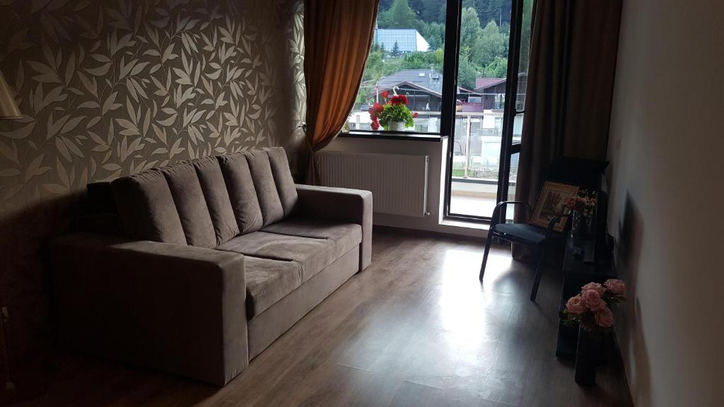 sala de estar con sofá y ventana en Ripsime Colina Marei, en Sinaia