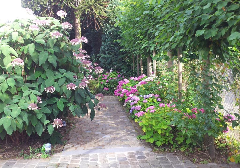 WemmelLa Pastorale Brussels Expo的相册照片