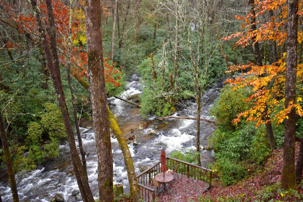 a river flowing through a forest next to a bridge at The Junction in Robbinsville