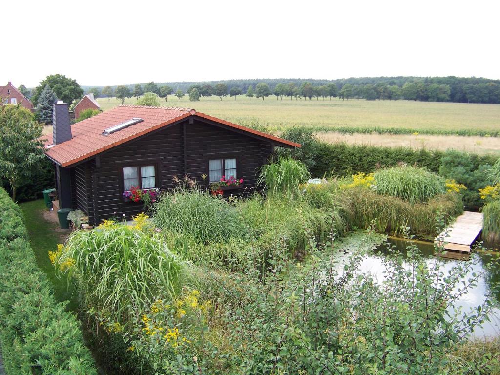 eine Hütte inmitten eines Feldes mit einem Teich in der Unterkunft Ferienhaus Hohenlubast in Gräfenhainichen