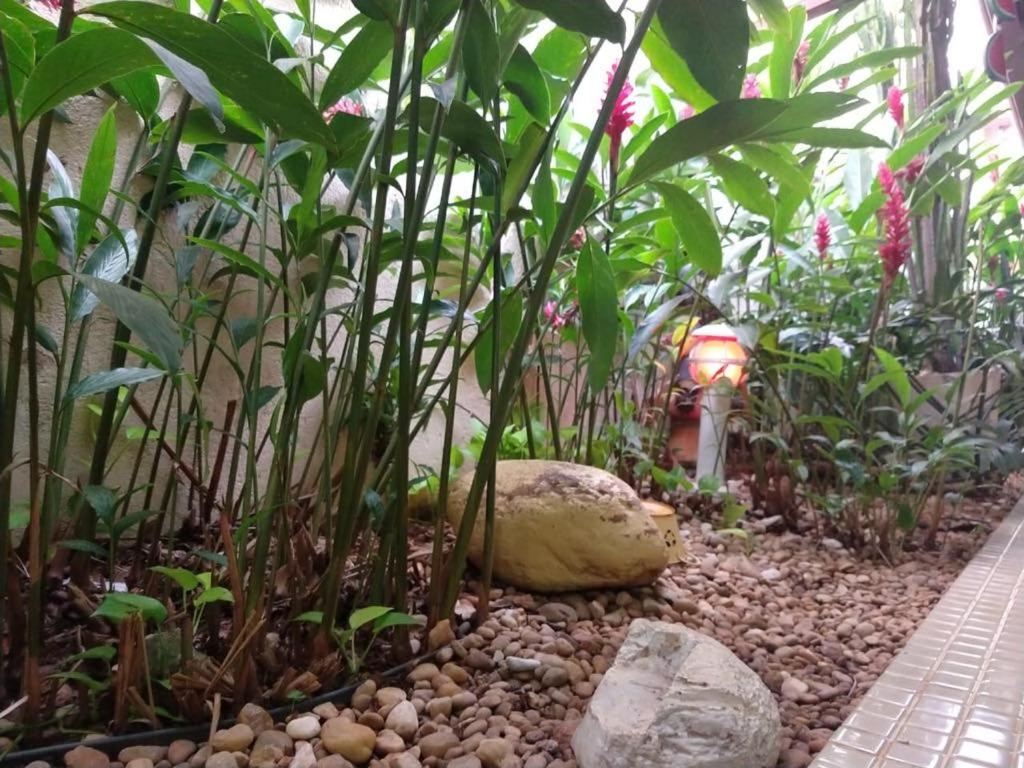  Casa Mel