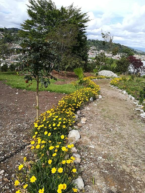Zahrada ubytování San Agustín Wayrana