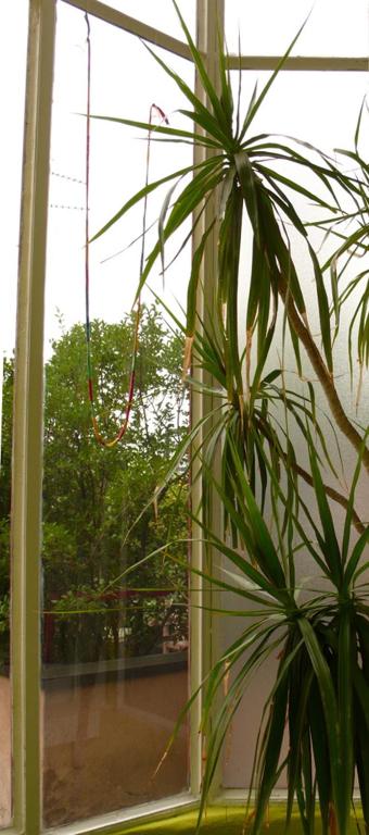 A garden outside Abchouse Sant'Agostino