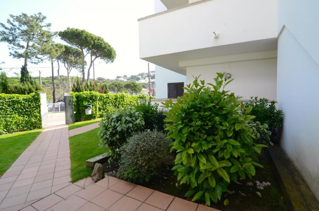 Zahrada ubytování CALA MONTGO - apartamentos
