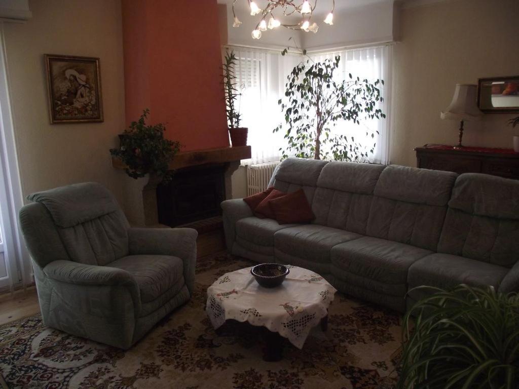 BEL APPARTEMENT LUMINEUX – photo 9