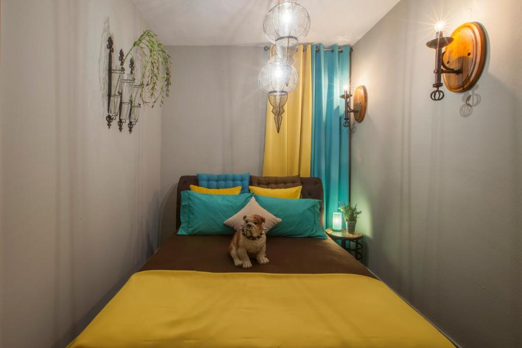 Fotografia z galérie ubytovania Rock Dandy Mountain house - Παλιός Άγιος Αθανάσιος Καϊμακτσαλάν v destinácii Palaios Agios Athanasios