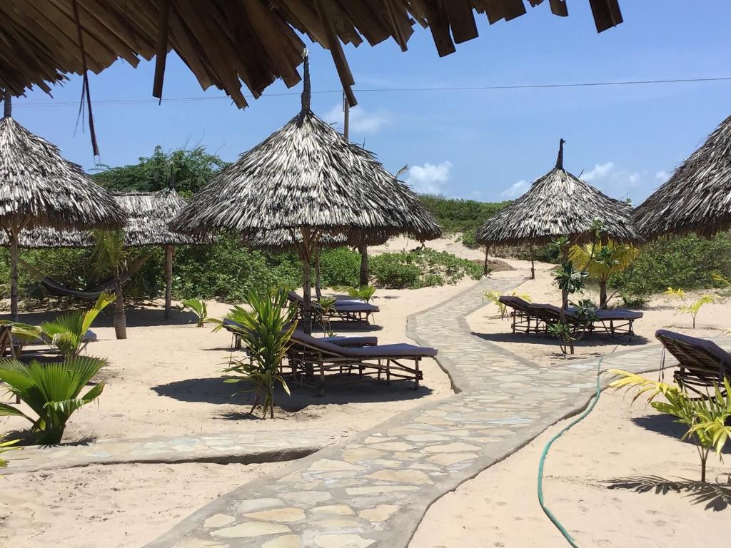 a beach with chairs and straw umbrellas on the sand at Mambrui Golden Beach Bar and Cottages in Mambrui