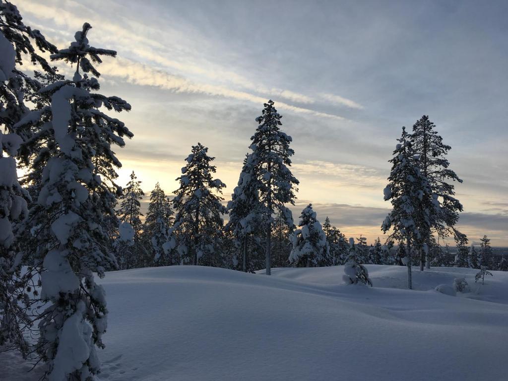 un groupe d'arbres recouvert de neige avec le coucher du soleil en arrière-plan dans l'établissement Apartment Elviira, à Rovaniemi