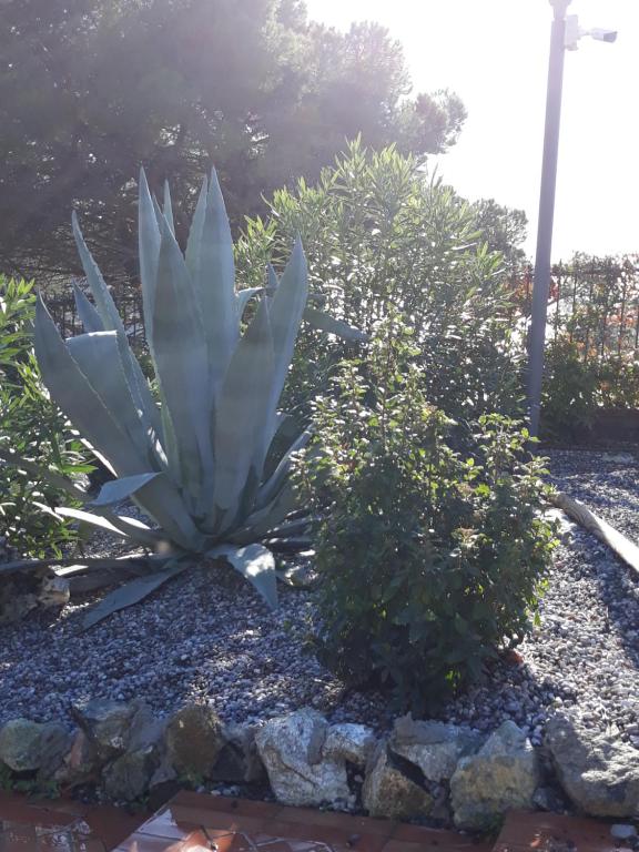A garden outside La Madonetta - Dimora d'epoca -