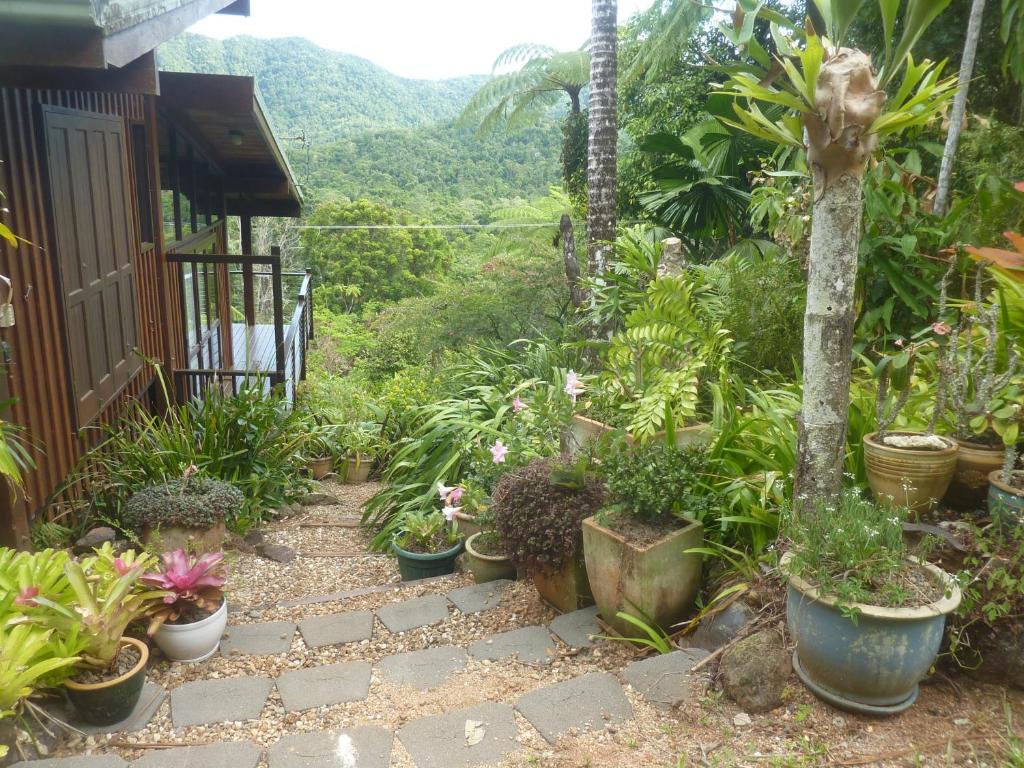 a garden with potted plants on a walkway at Daintree Holiday Homes - The Folly in Diwan