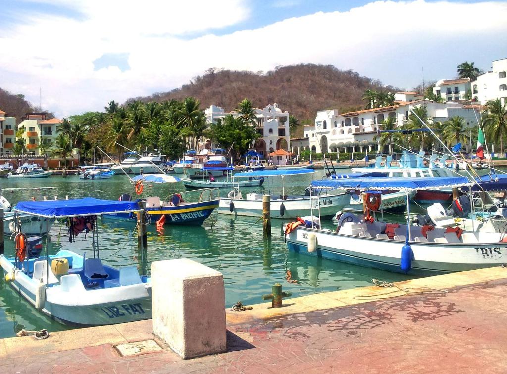 Eine Gruppe von Booten liegt in einem Hafen vor Anker. in der Unterkunft Canadian Resort Huatulco in Santa Cruz Huatulco