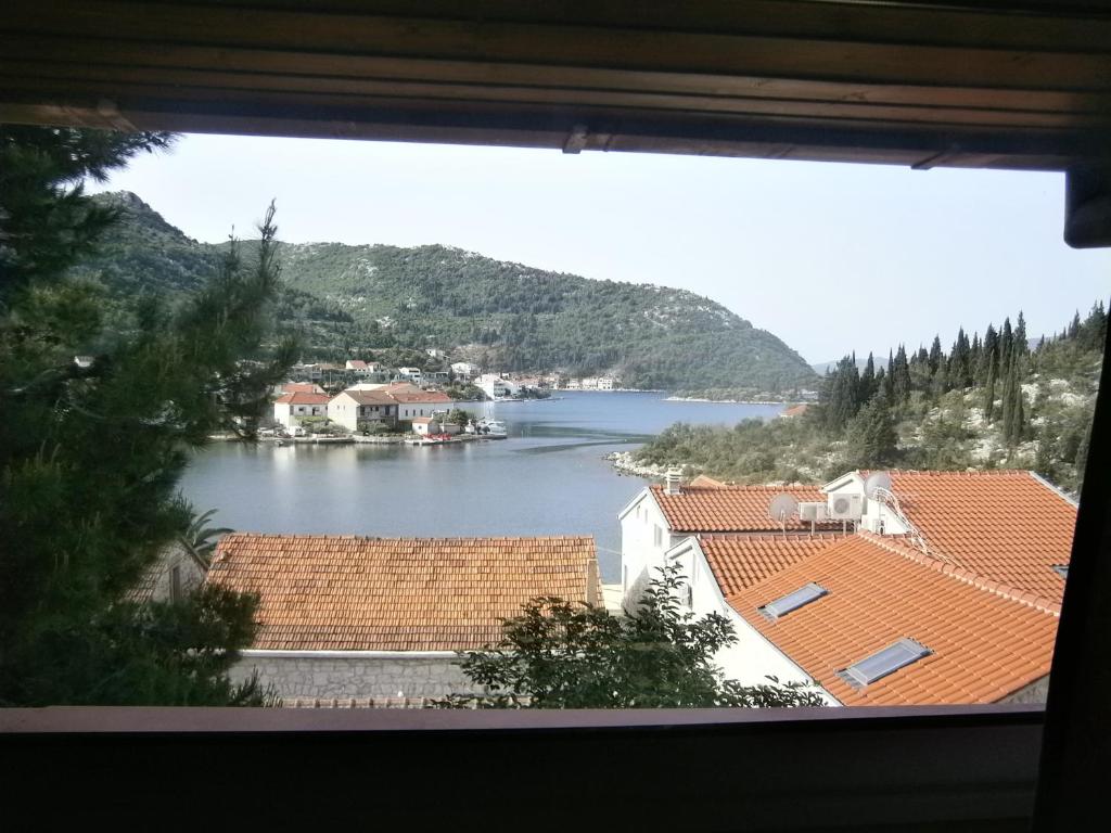 Elle offre une vue sur le lac depuis sa fenêtre. dans l'établissement Apartments Petar, à Blace