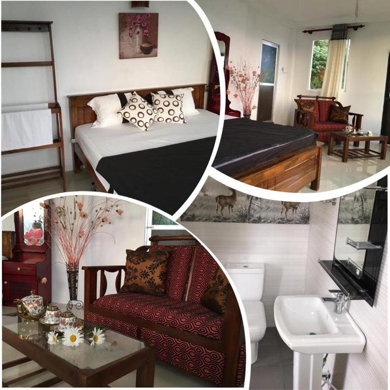 Golden King Guest - 17