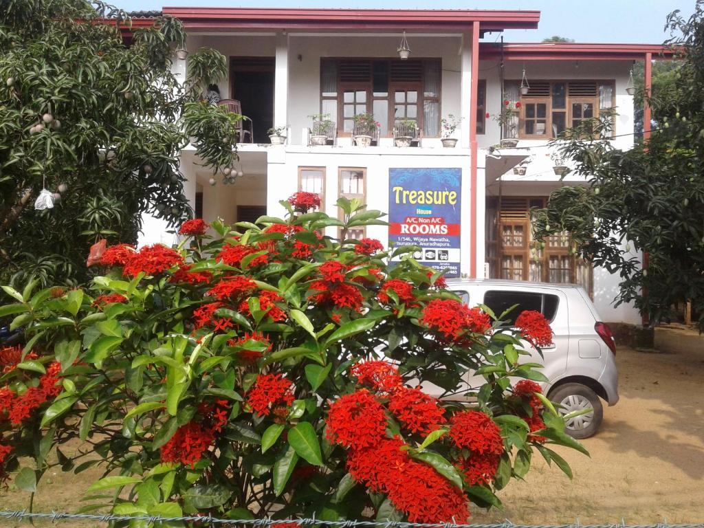 a bush with red flowers in front of a building at Treasure House Tourist Rest in Anuradhapura