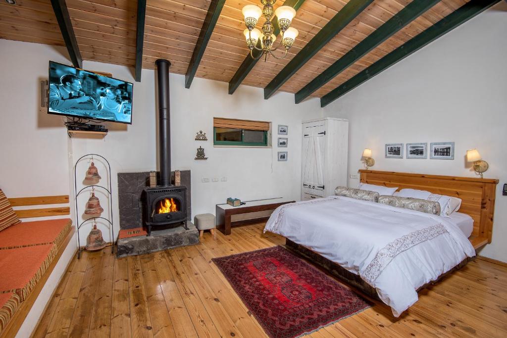 a bedroom with a bed with a fireplace and a television at view of the sea - zimmer lakinnert in Kinneret