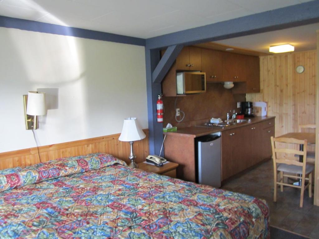 Kuchyň nebo kuchyňský kout v ubytování Lakeside Motel