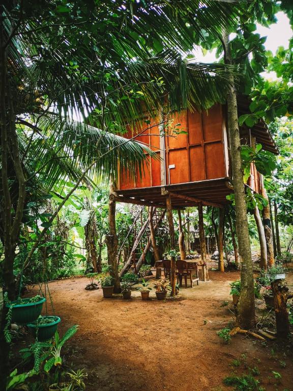 Zahrada ubytování Sigiri Aliya Tree house