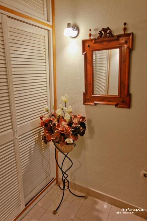 Fotografie z fotogalerie ubytování Apartment & Rooms Antonijela v destinaci Bol