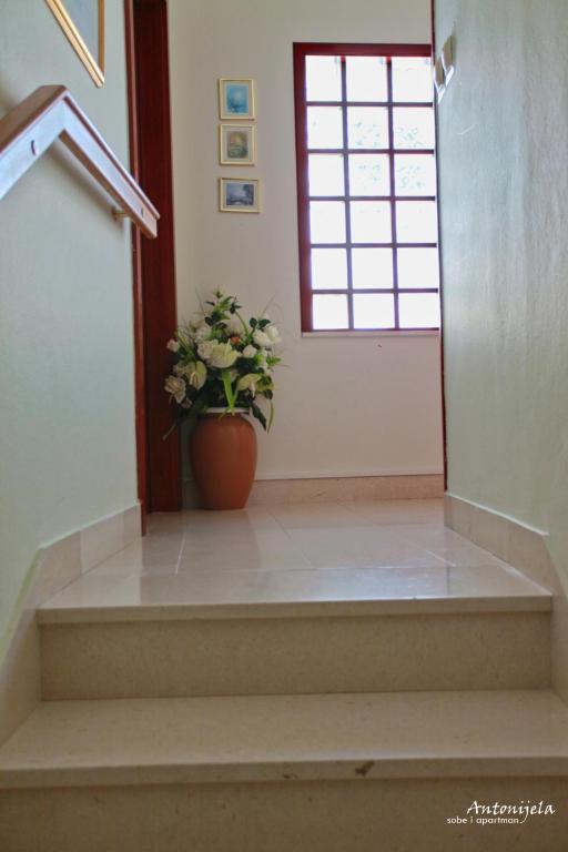 Fotografie z fotogalerie ubytování Apartment & Rooms Antonijela v destinaci Bol