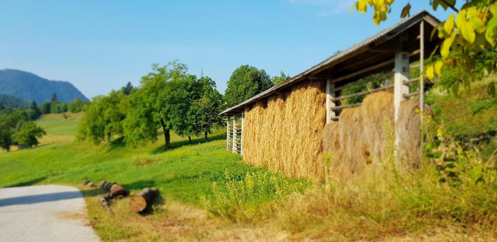 Příroda nedaleko apartmánu