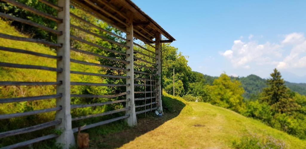 Příroda nedaleko apartmánu