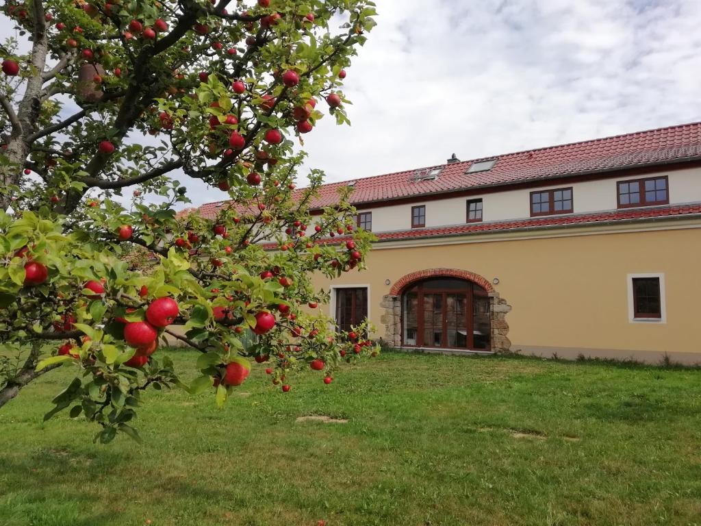Zahrada ubytování Ferienhof-Kühn