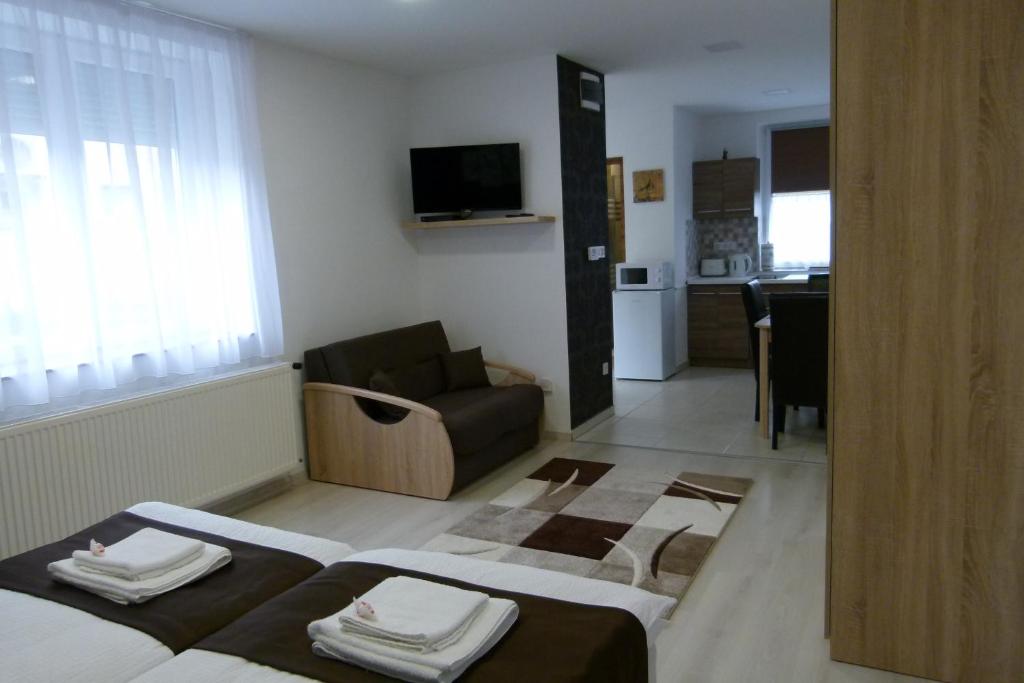 TV a/nebo společenská místnost v ubytování Wolf House Apartman