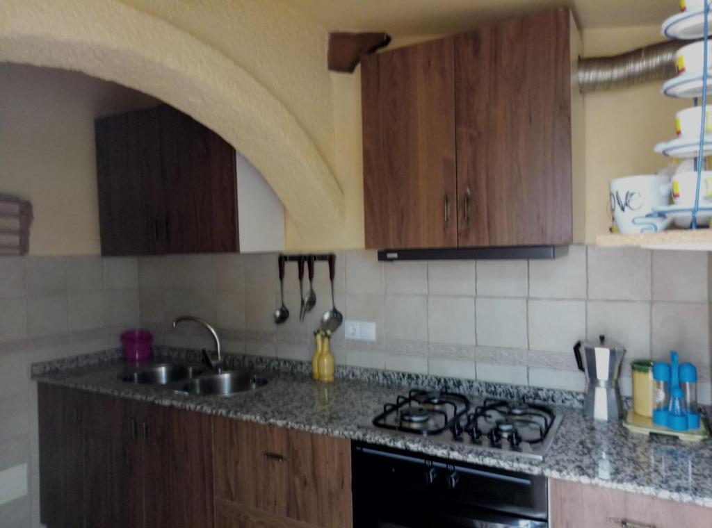 kuchnia ze zlewem i kuchenką górny piekarnik w obiekcie casa cueva la fuente 2 w mieście Fontanar