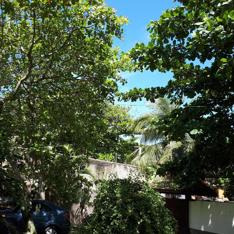  Paraíso do Flamengo