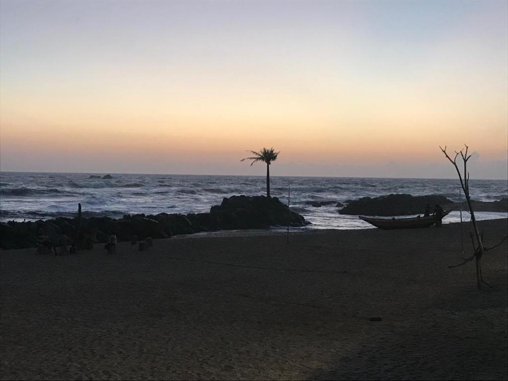 una palmera en una playa con el océano en Beach Rip Rap Cabana and Guest, en Galle