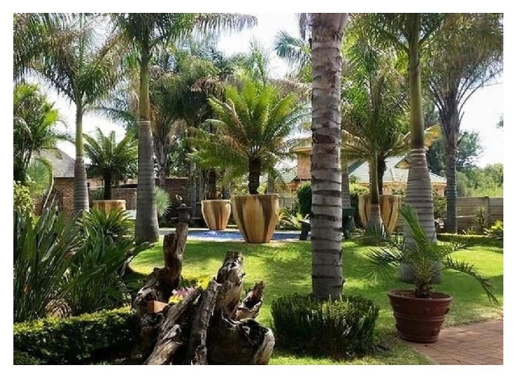 a garden with palm trees and a palm tree trunk at Lala Bela Guest House in Bela-Bela