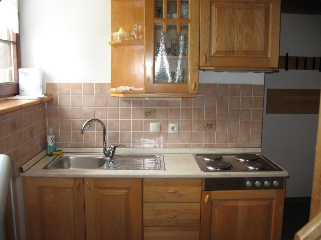 Kuchyň nebo kuchyňský kout v ubytování APARTMAJI STARI KOVAČ