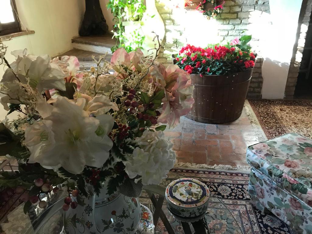 Fotografie z fotogalerie ubytování Villa Camilla v destinaci Quistello
