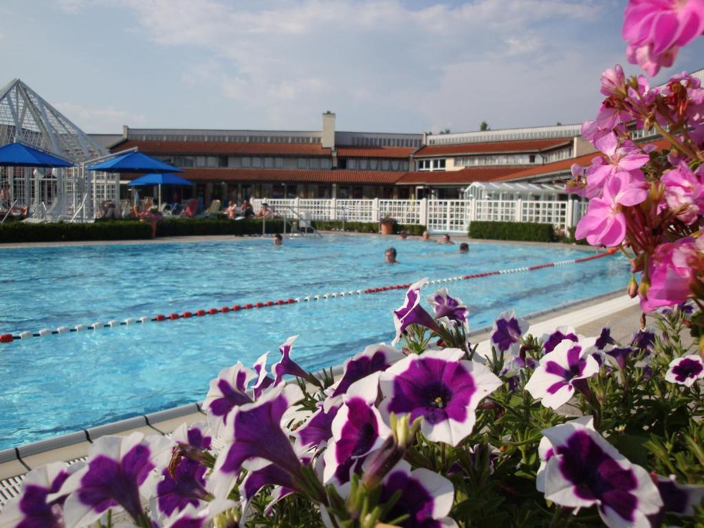Bazén v ubytování Apparthotel Minerva Diana Octavia nebo v jeho okolí