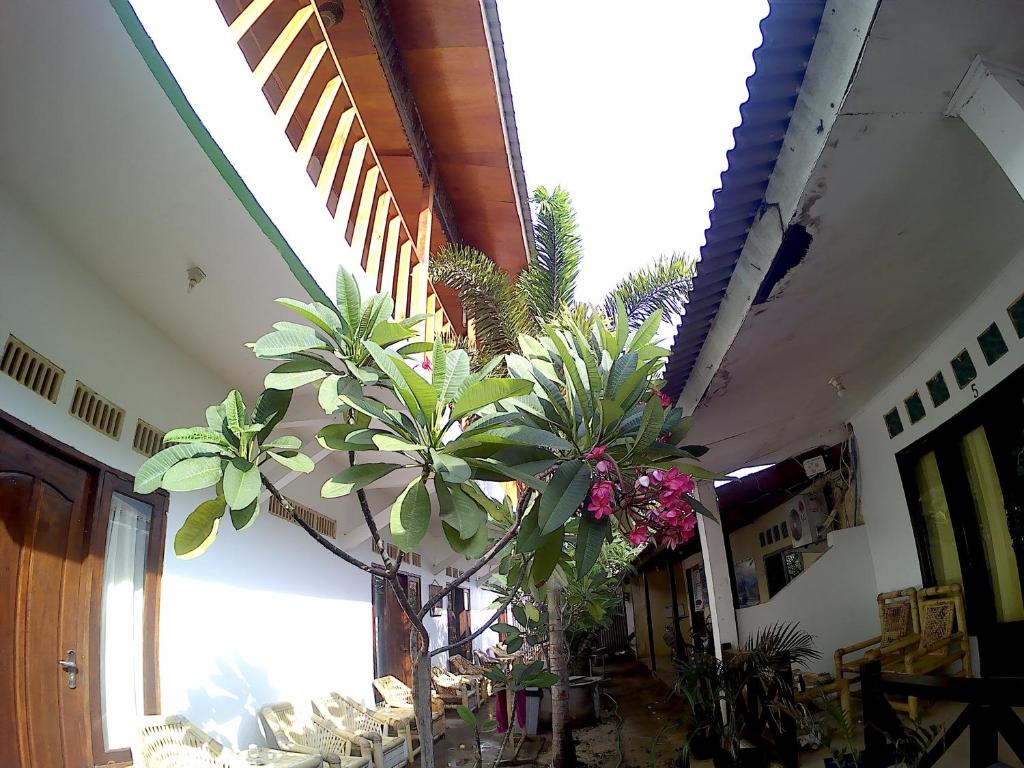 Fotografie z fotogalerie ubytování Ombak Homestay v destinaci Gili Trawangan