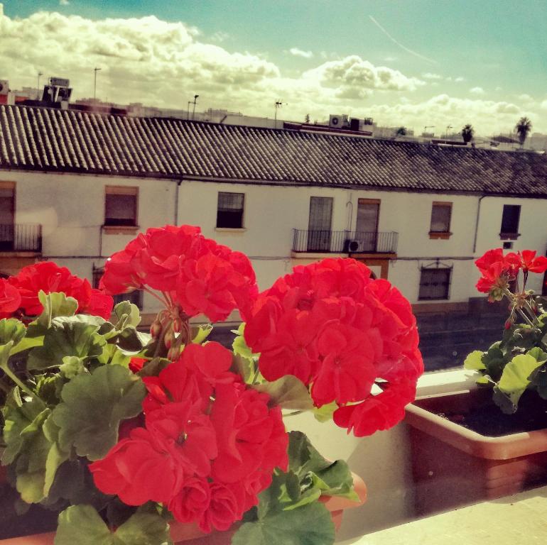 Hotel Abadi - Resim 31