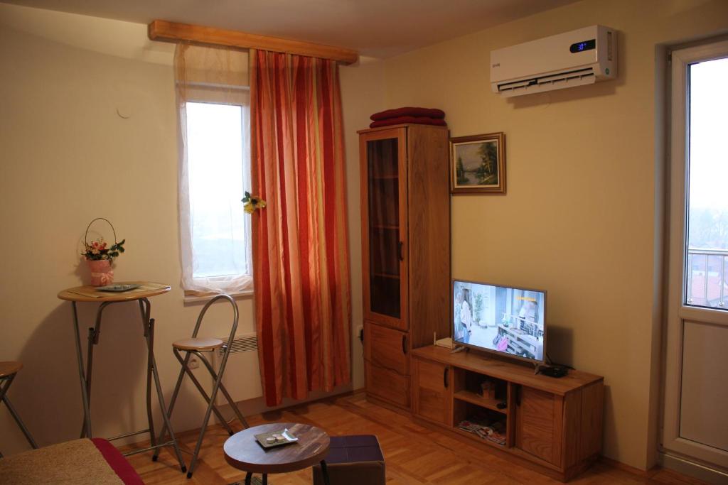 Телевізор і / або розважальний центр в Apartman Francuskinje Elegant