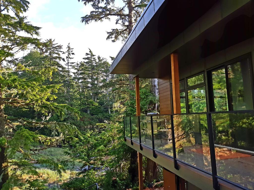 een uitzicht vanaf het balkon van een huis met bomen bij Storm Cove Suites in Ucluelet