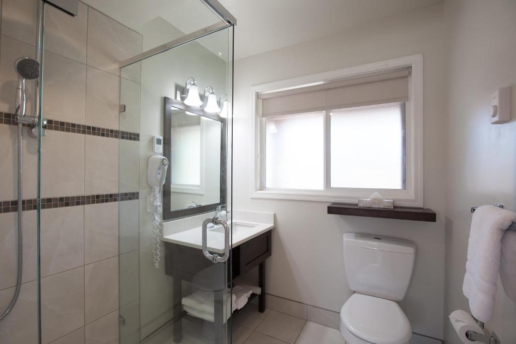 a bathroom with a shower and a toilet and a sink at Swiss Chalet Motel in Revelstoke
