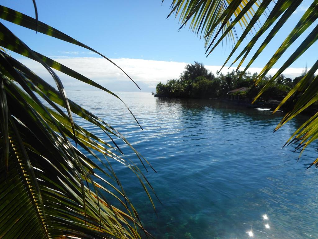 A Pueu Village - photo 12 - Tahiti, Polynésie
