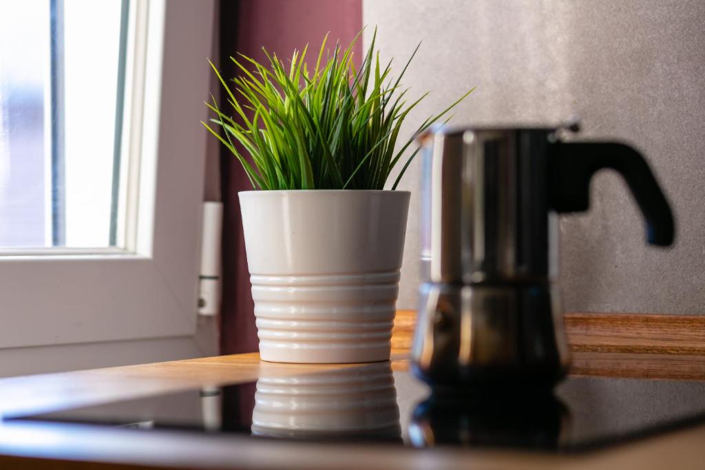 Culture Residence Consalvo Otto - 15