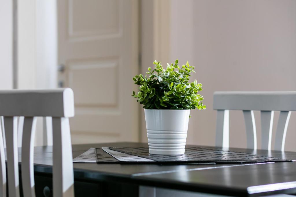 Culture Residence Consalvo Otto - 12