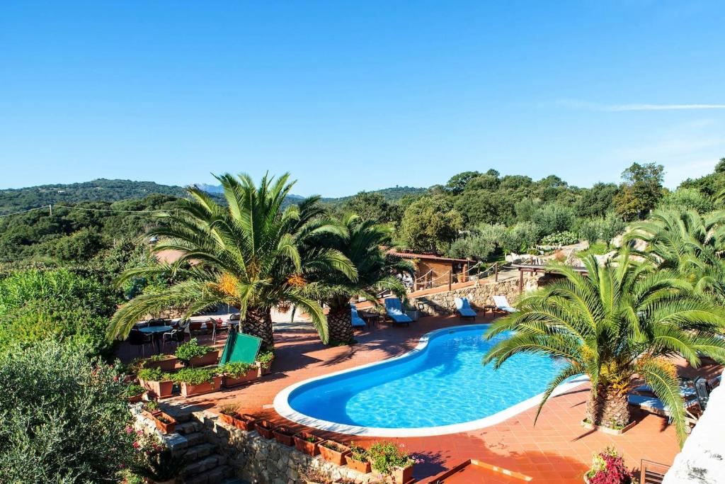 vista aerea su una piscina del resort con palme di Résidence Villa Smeralda a Telti