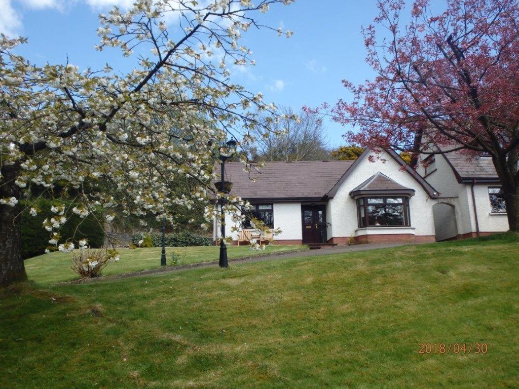 une maison blanche avec des arbres à fleurs dans la cour dans l'établissement Torrent Cottage, à Coalisland