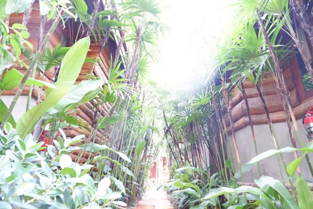 拜縣的住宿－拜縣約卡塔酒店，走廊上,在建筑物旁边,布满了植物