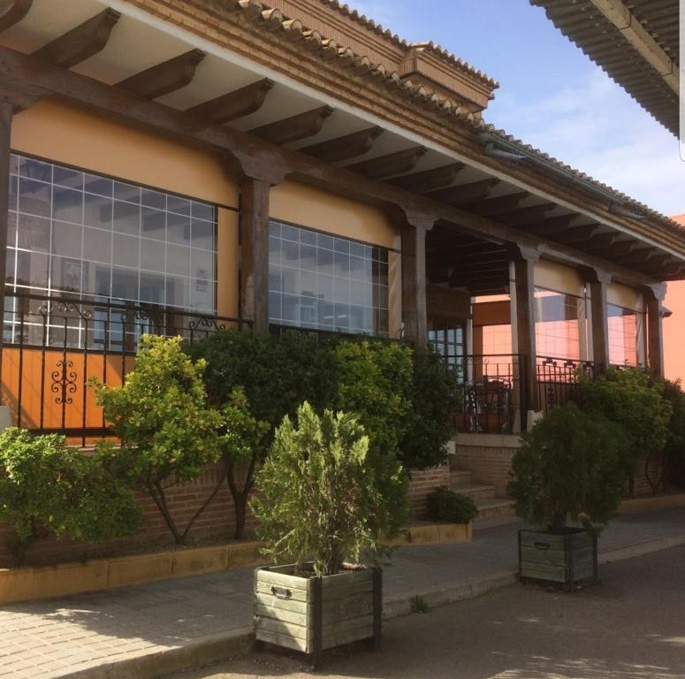 a building with two potted trees in front of it at Hotel-Restaurante Venta Tomas in Almuradiel