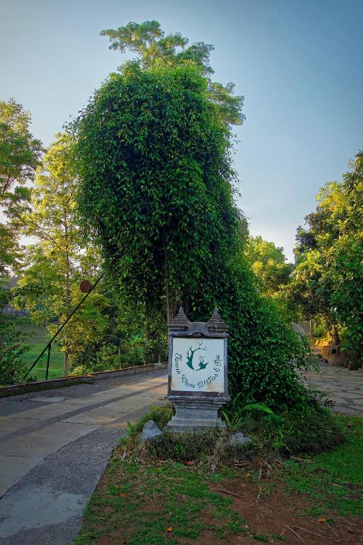 Zahrada ubytování Taman Wana Resort Palasari